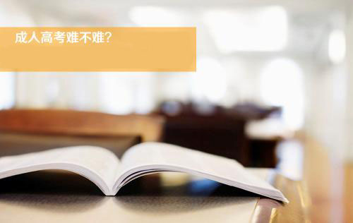 内江师范学院成考热门专业